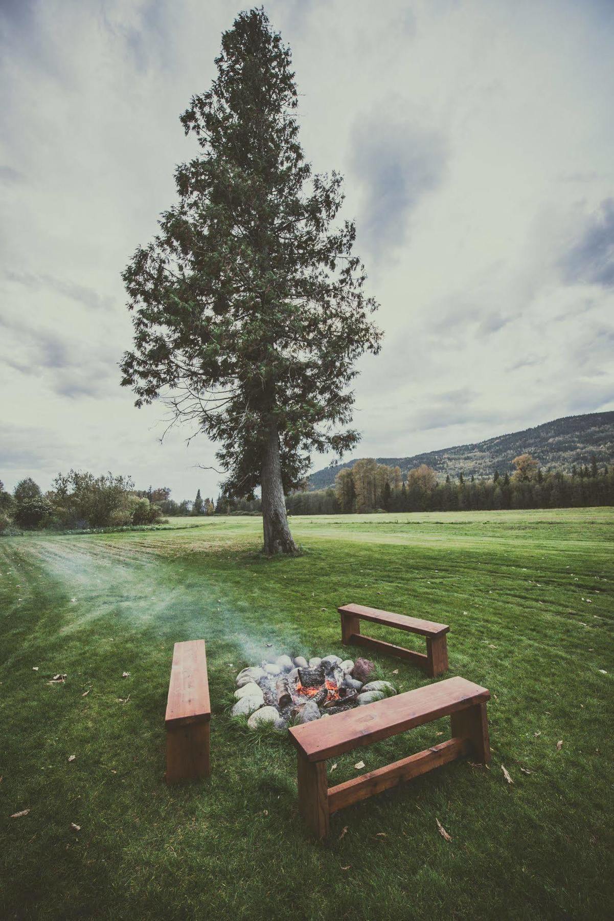 Hidden Acres Farm And Treehouse Resort Terrace Exteriör bild