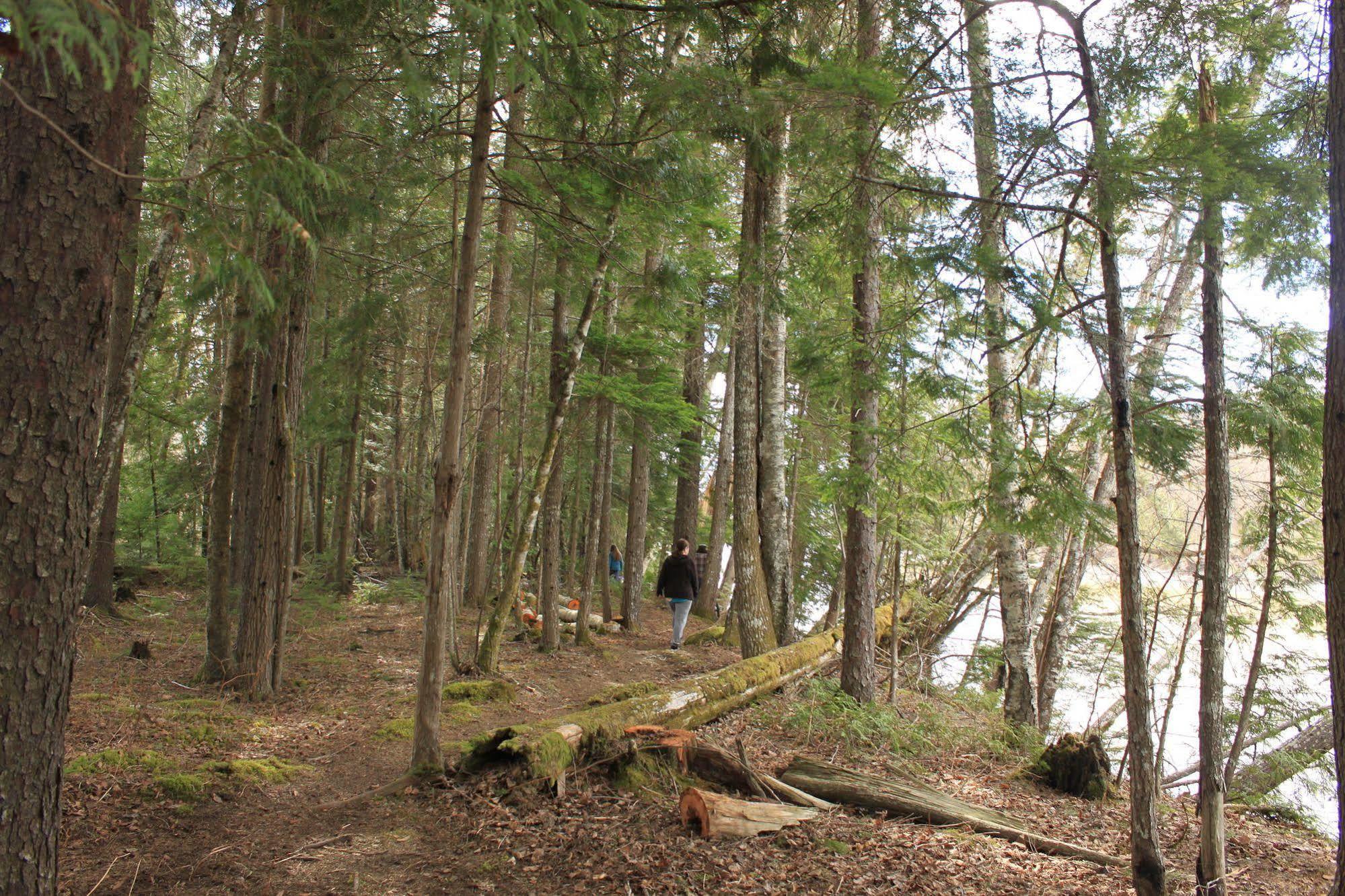 Hidden Acres Farm And Treehouse Resort Terrace Exteriör bild