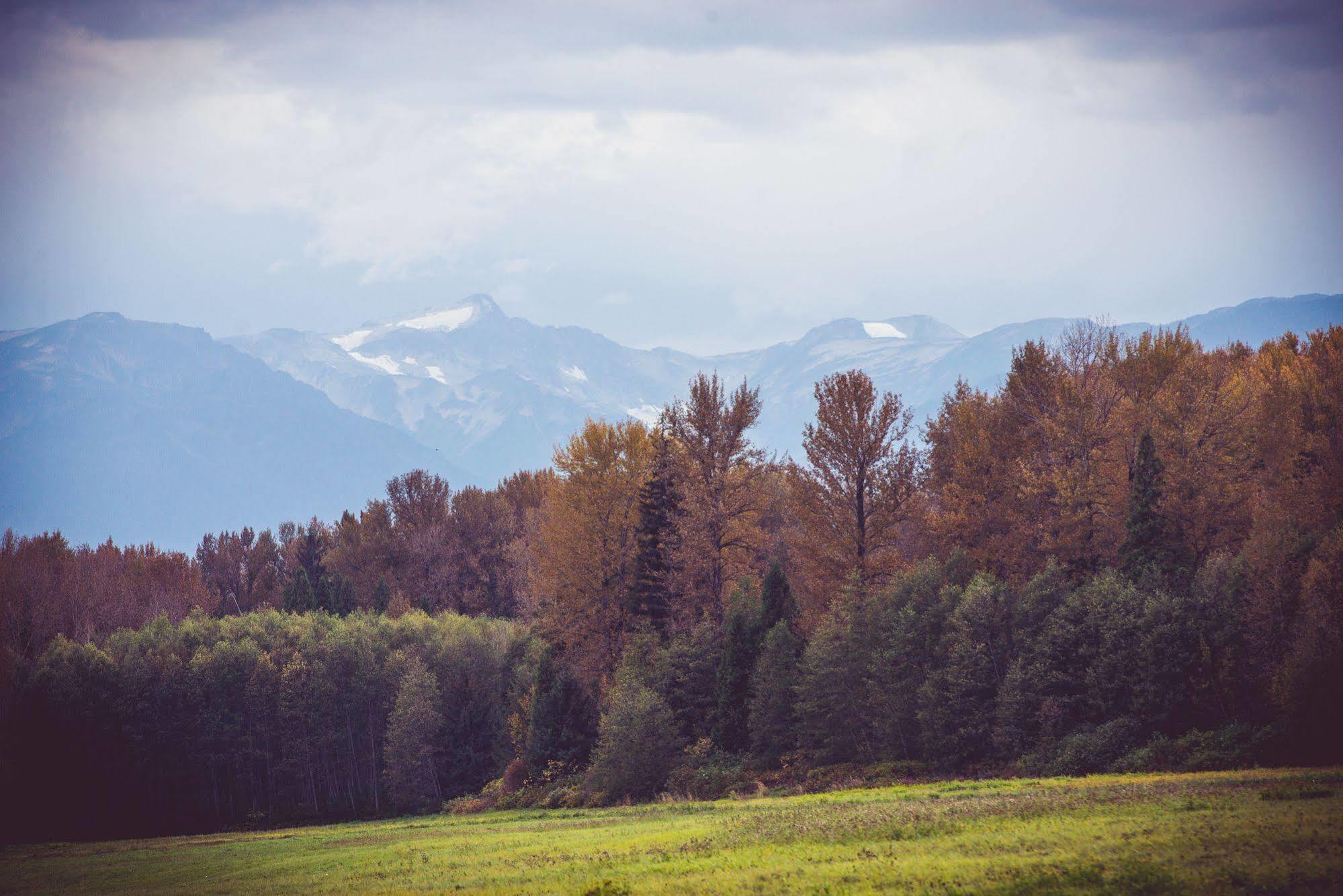 Hidden Acres Farm And Treehouse Resort Terrace Exteriör bild
