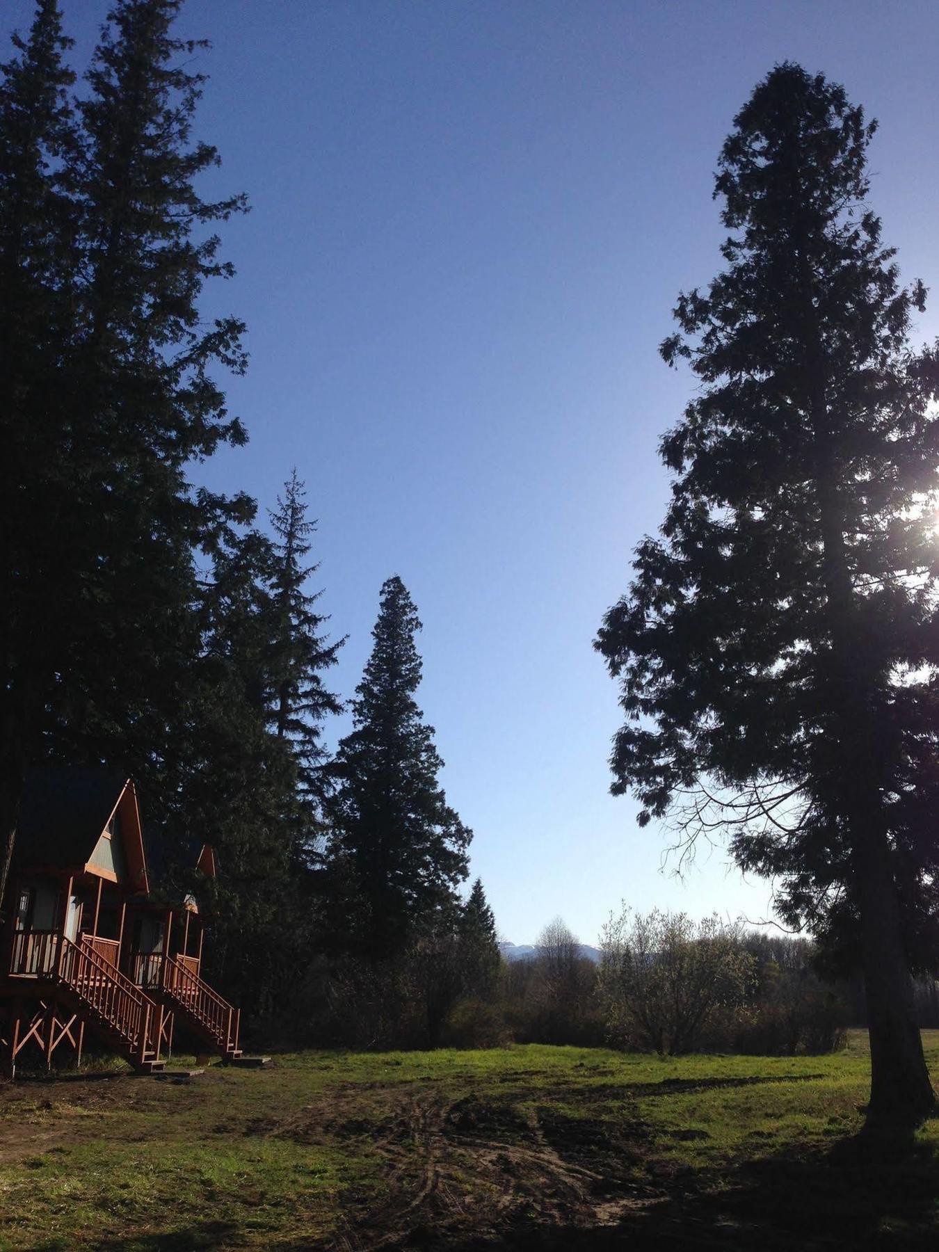 Hidden Acres Farm And Treehouse Resort Terrace Exteriör bild
